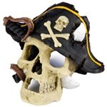 Pirate Skull Aquarium Decoration