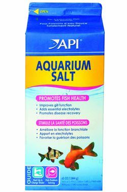 Use Aquarium Salt to Treat Ich