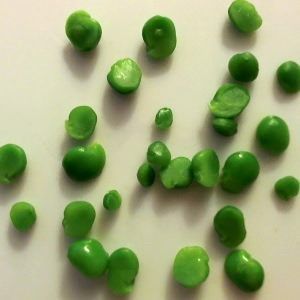 Cut fresh peas before feeding goldfish peas