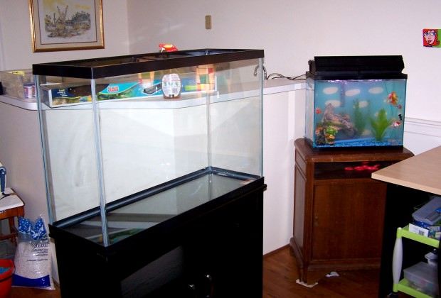 Goldfish store tank size