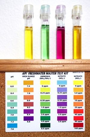 Fish Water Test Chart