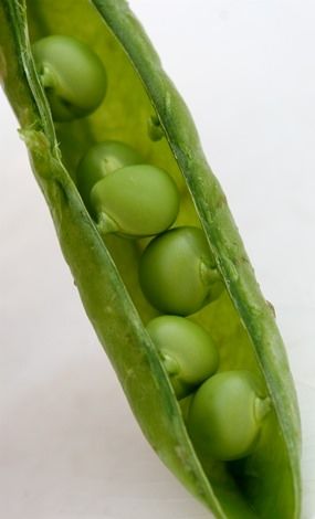 frozen pea for fish